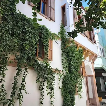 Sarmasik * Ayvalik